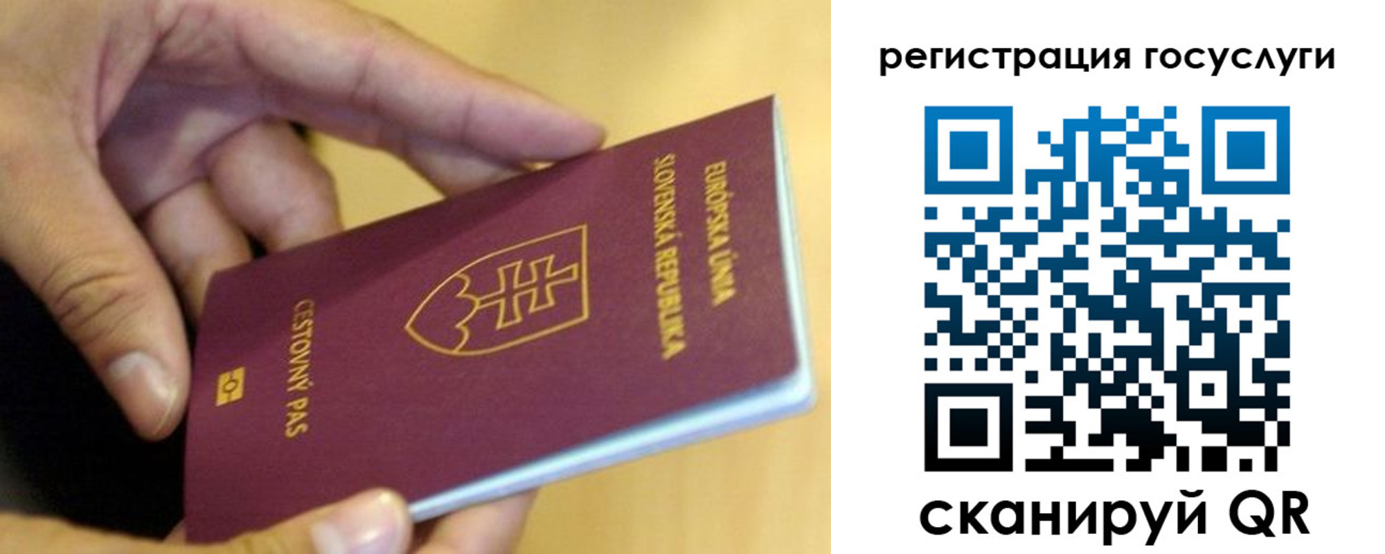 прописка в квартире в Славгороде